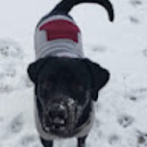 Meet your Posher, Trina